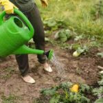 Best Organic Liquid Fertilizer for Vegetable Garden