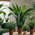 Best Indoor Plants for Clean Air