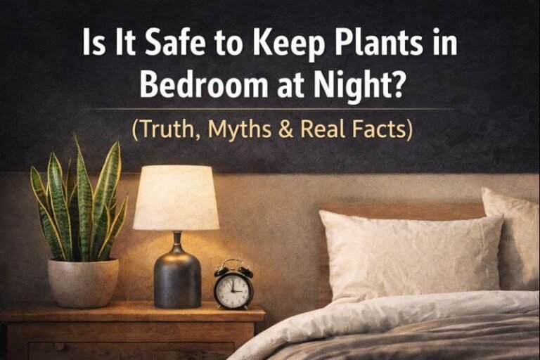 is it safe to keep plants in bedroom at night